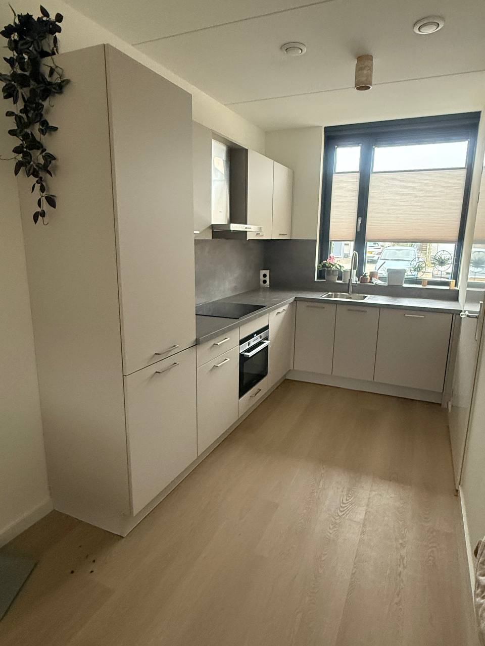 photo_26_2025-03-10_02-38-21