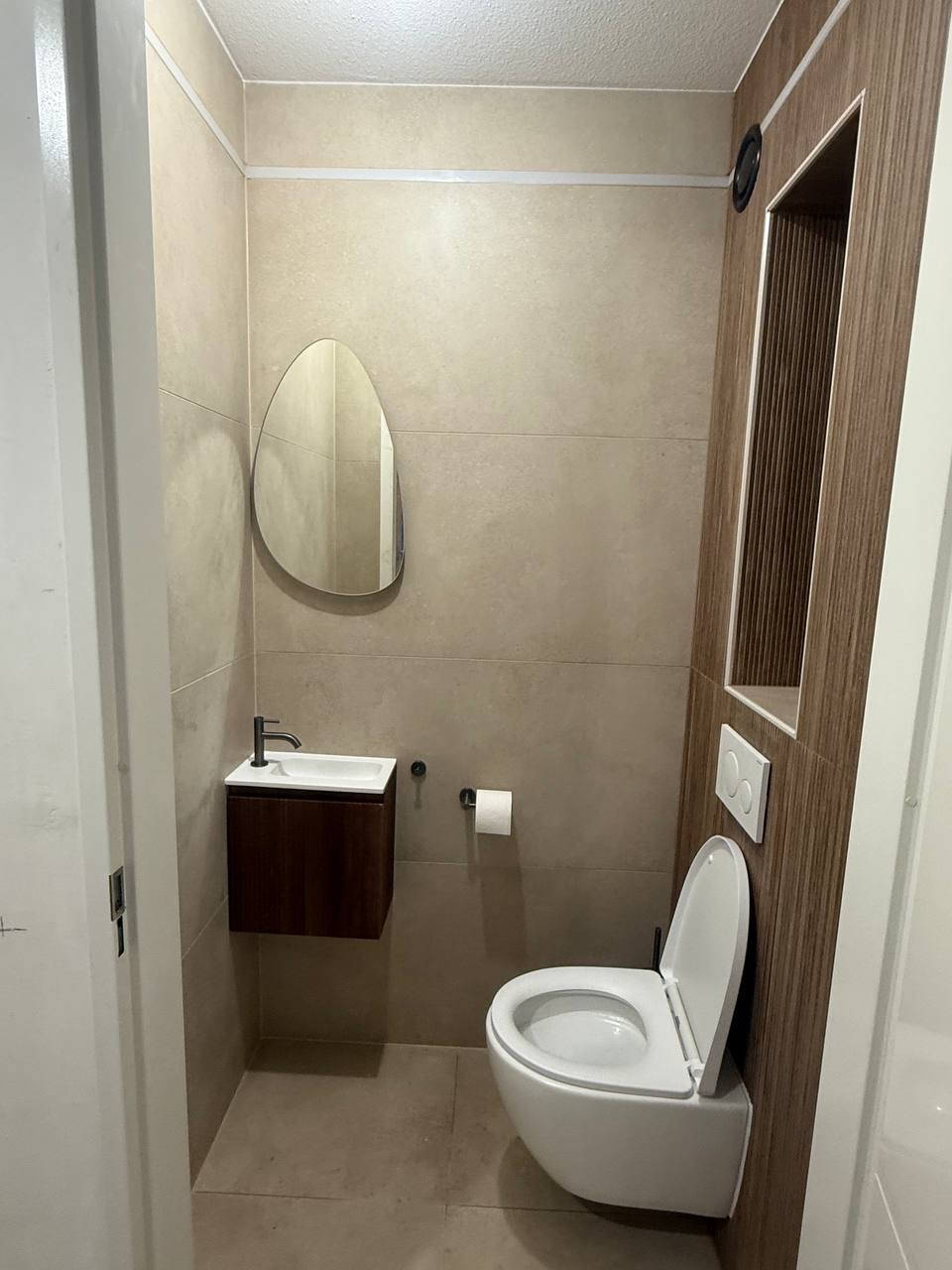 photo_6_2025-03-10_02-38-21